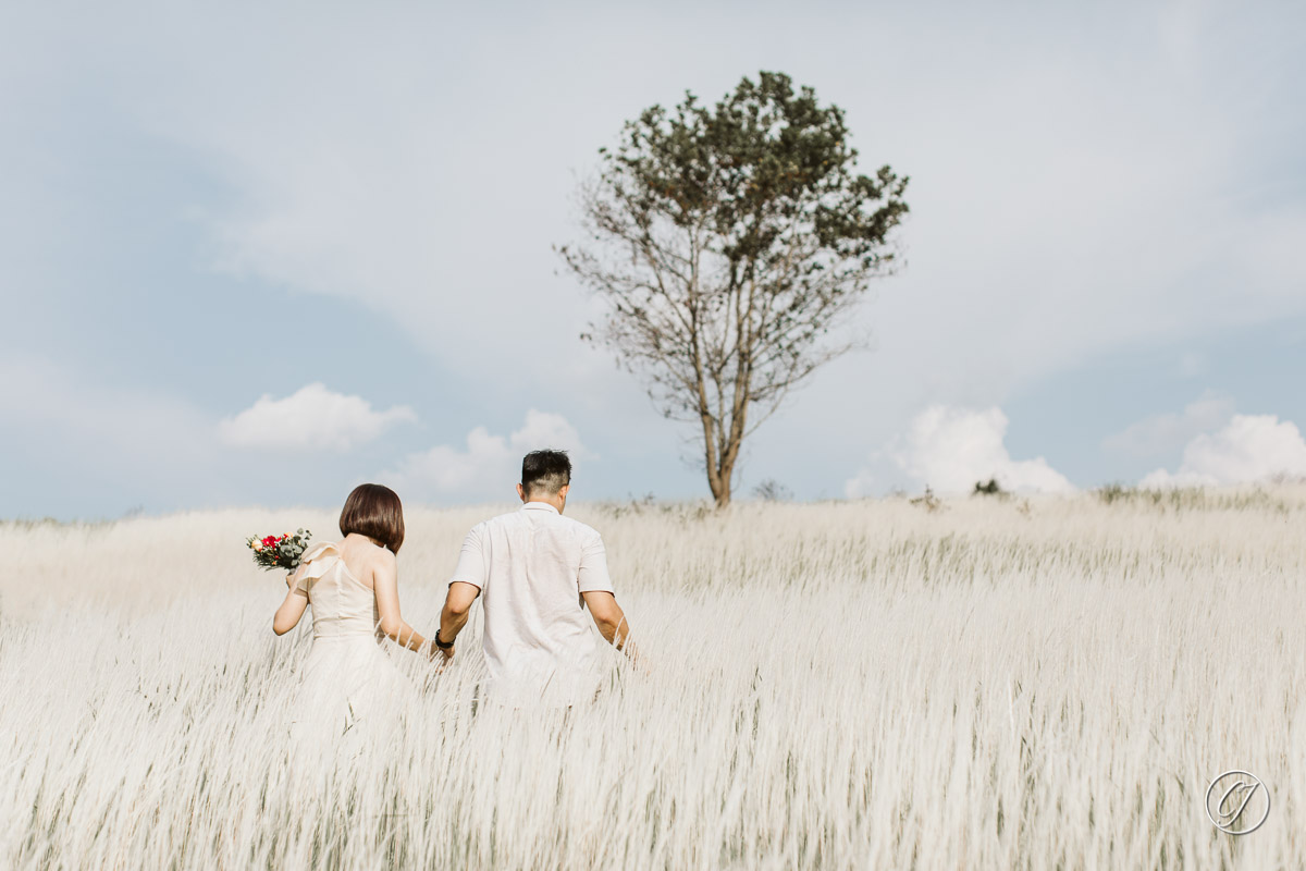 Engagement portrait in Melaka