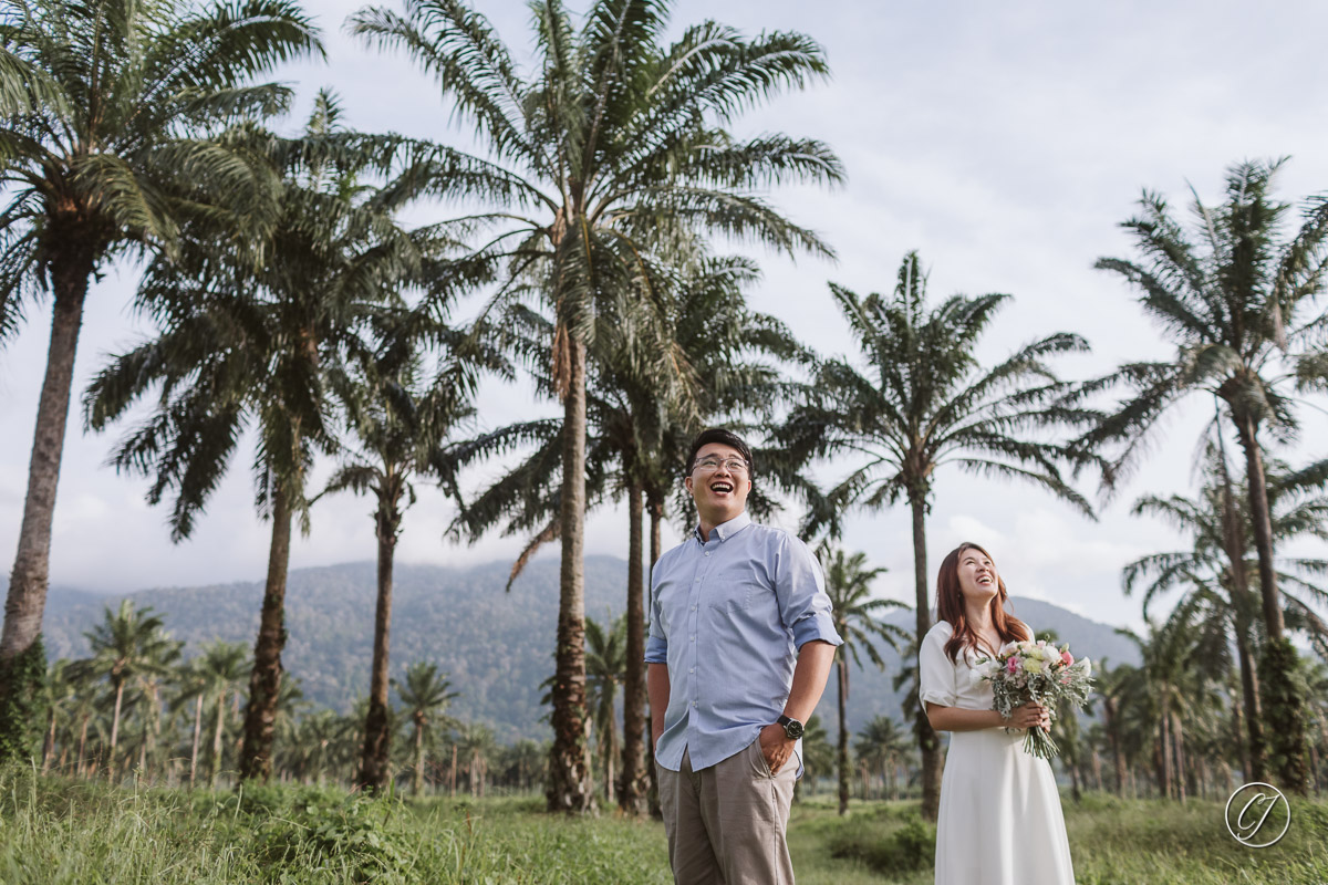 Palm trees with couple