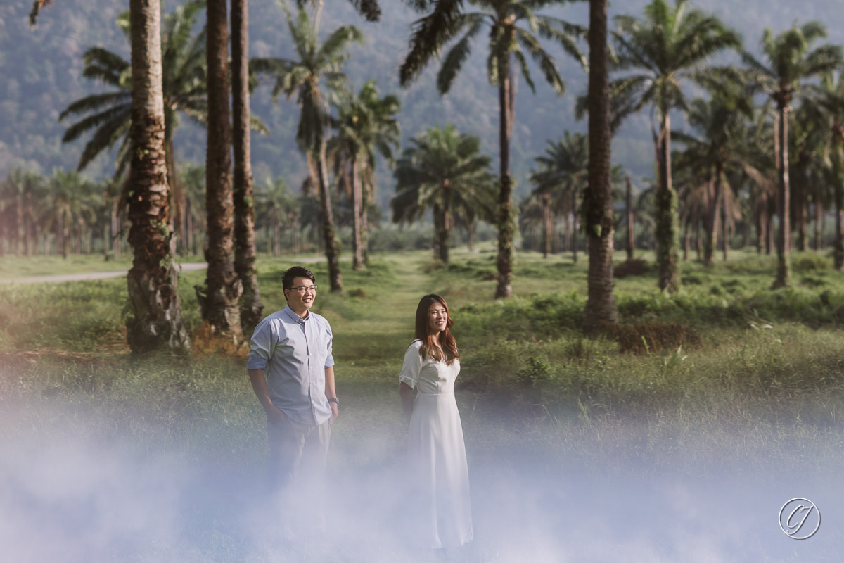 Palm oil plantation portrait in Johor