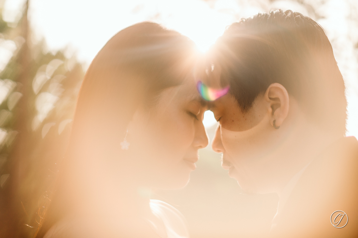 Backlit couple photo