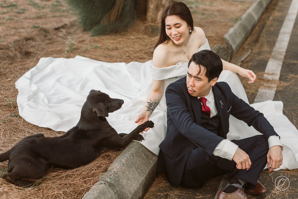 Unexpected guest during a shoot, a black dog