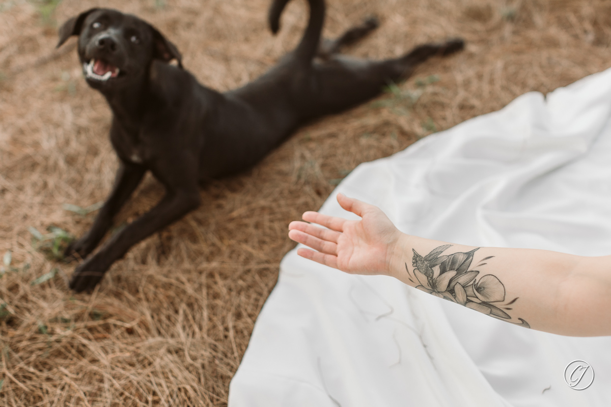 Tattooed bride and a photo-bombed black dog